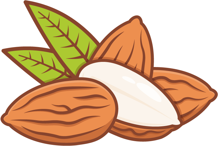 nuts-fullcolor_almond f
