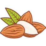 nuts-fullcolor_almond
