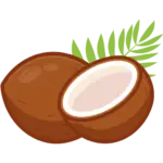 nuts-fullcolor_coconut