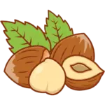 nuts-fullcolor_hazelnut