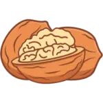 nuts-fullcolor_walnut